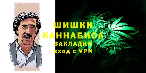 дживик Абаза