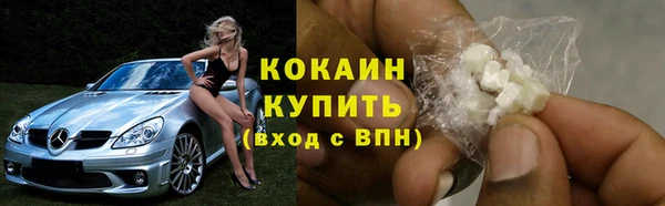 PSILOCYBIN Абдулино