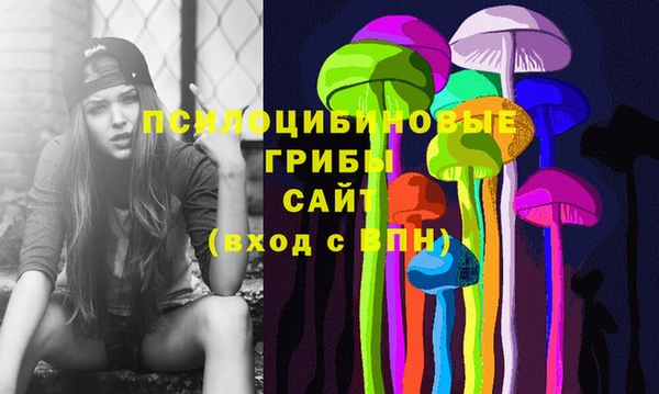 дживик Абаза