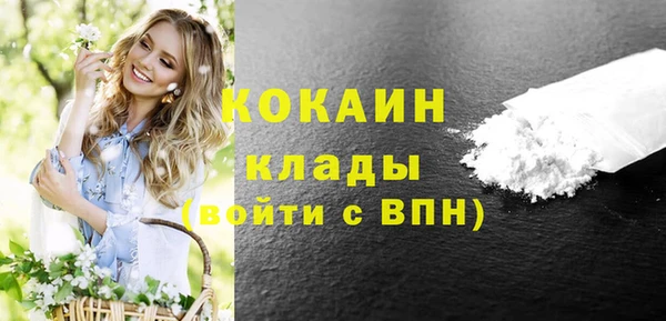 дживик Абаза