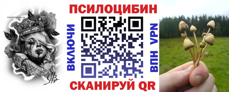 Псилоцибиновые грибы Psilocybe  Жердевка 